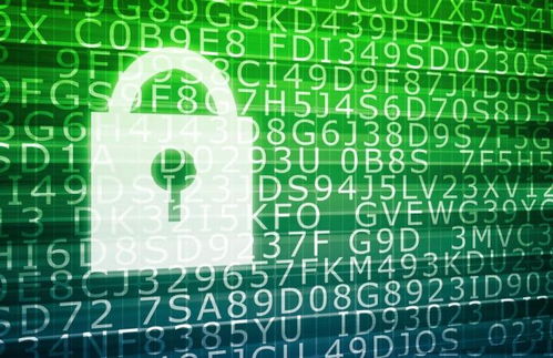 軟件開發(fā)與網(wǎng)絡(luò)安全 轉(zhuǎn)型、差旅與專業(yè)融合之路